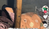 千万网红B太惨遭诈骗真相触目惊心